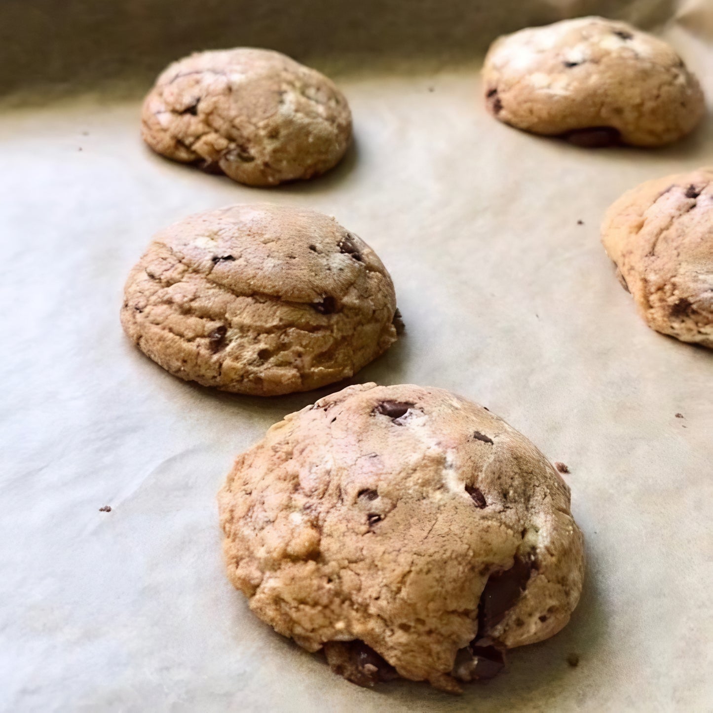 Limited Edition Holiday Cookie Box
